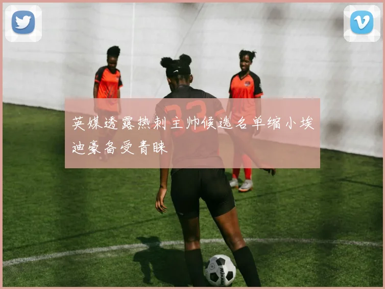 英媒透露热刺主帅候选名单缩小埃迪豪备受青睐